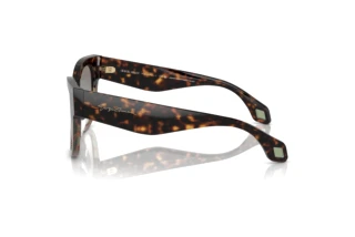 Oldalnézet Giorgio Armani AR8195U (587932)