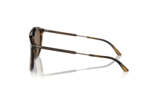 Vista lateral Giorgio Armani AR8198 (603773)