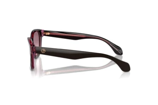 [glasses-side-view] Giorgio Armani AR8207 (60888D)