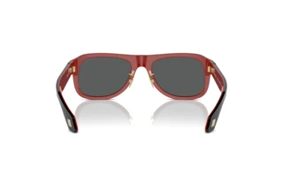 [glasses-back-view] Giorgio Armani AR8209 (6069B1)