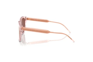 Vista lateral Giorgio Armani AR8210U (6073C5)