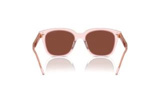 Vista posterior Giorgio Armani AR8210U (6073C5)