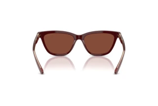 Πίσω όψη Giorgio Armani AR8221 (5955C5)