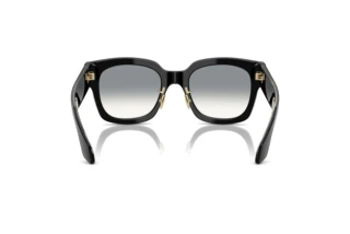 [glasses-back-view] Giorgio Armani AR8223 (500111)