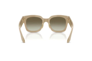 [glasses-back-view] Giorgio Armani AR8223 (61618E)