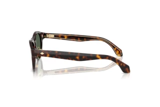 Vista lateral Giorgio Armani AR8225 (502671)