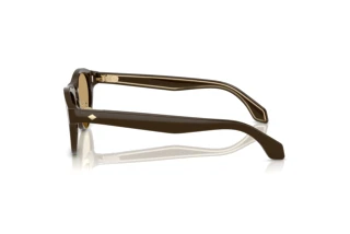 Πλευρική όψη Giorgio Armani AR8225 (619473)