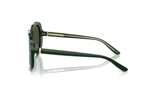 [glasses-side-view] Giorgio Armani AR8229U (617331)