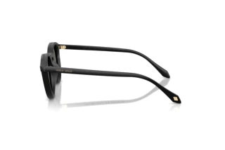 Vista lateral Giorgio Armani AR8230U (5875R5)