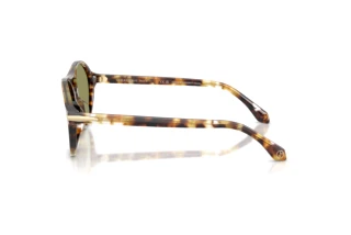 Vista lateral Giorgio Armani AR8236U (623214)