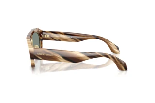 [glasses-side-view] Giorgio Armani AR8239 (6065/1)