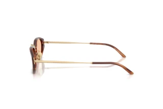 [glasses-side-view] Giorgio Armani AR8242 (616273)