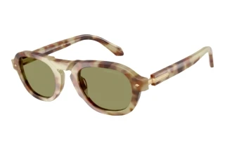 Vedere din față Giorgio Armani AR8244 (629914)