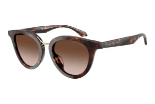 [glasses-front-view] Giorgio Armani AR8252U (612413)