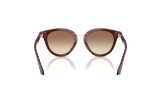 [glasses-back-view] Giorgio Armani AR8252U (639913)
