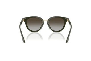 [glasses-back-view] Giorgio Armani AR8252U (640013)