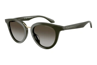 [glasses-front-view] Giorgio Armani AR8252U (640013)