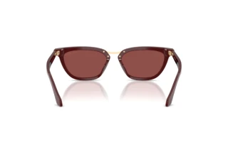 [glasses-back-view] Giorgio Armani AR8253U (639775)