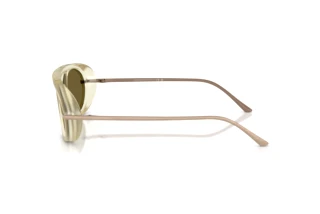 Sivukuva Giorgio Armani AR8256 (6409O8)