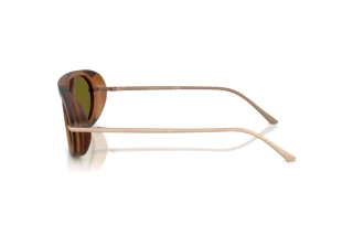 Sivukuva Giorgio Armani AR8256 (6410/2)