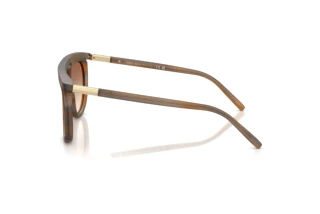 Sivukuva Giorgio Armani AR8262 (642913)