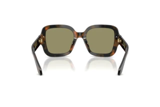 [glasses-back-view] Giorgio Armani AR8268U (64782A)