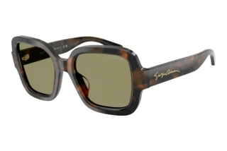 [glasses-front-view] Giorgio Armani AR8268U (64782A)