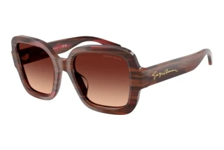 [glasses-front-view] Giorgio Armani AR8268U (647913)
