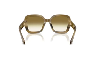 [glasses-back-view] Giorgio Armani AR8268U (64808E)