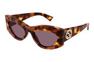 Gucci GG1843S 003 HAVANA