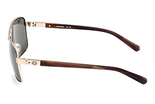 [glasses-side-view] Harley-Davidson HD00018 (32N)