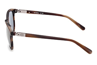[glasses-side-view] Harley-Davidson HD00019 (50L)