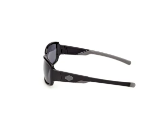 [glasses-side-view] Harley-Davidson HD00030 (01A)
