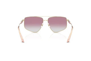 Vista posterior Jimmy Choo JC4011 (300658)