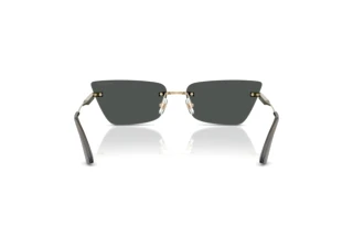 [glasses-back-view] Jimmy Choo JC4012 (300687)