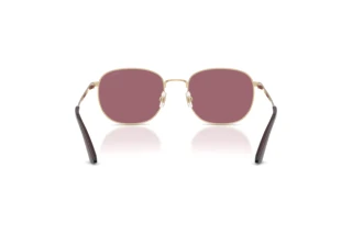 Vista posterior Jimmy Choo JC4025B (30061A)