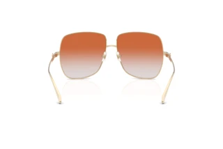 [glasses-back-view] Jimmy Choo JC4030B (3006BU)