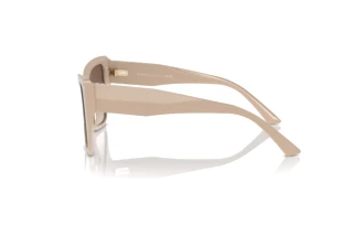 [glasses-side-view] Jimmy Choo JC5001B (501113)