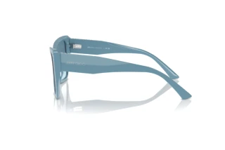[glasses-side-view] Jimmy Choo JC5001B (501219)