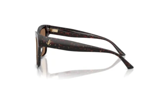 Sidovy Jimmy Choo JC5003 (512573)