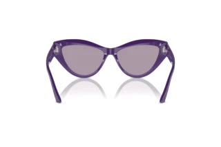 [glasses-back-view] Jimmy Choo JC5004 (50482S)