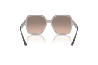 [glasses-back-view] Jimmy Choo JC5005 (50426I)