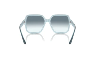 [glasses-back-view] Jimmy Choo JC5005 (504319)