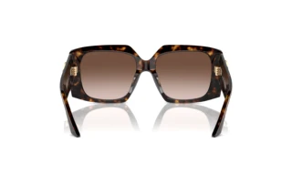 [glasses-back-view] Jimmy Choo JC5006U (500213)