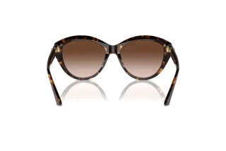 [glasses-back-view] Jimmy Choo JC5007 (500213)