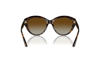 [glasses-back-view] Jimmy Choo JC5007 (5002T5)