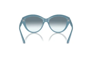 [glasses-back-view] Jimmy Choo JC5007 (501219)
