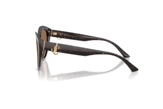 [glasses-side-view] Jimmy Choo JC5007 (512573)