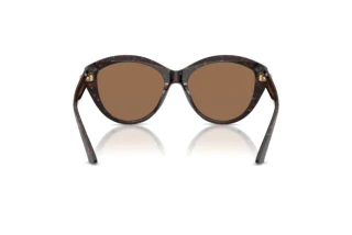 [glasses-back-view] Jimmy Choo JC5007 (512573)