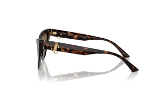 [glasses-side-view] Jimmy Choo JC5008 (500273)